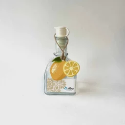 آبلیموخوری گانجی سایز 2 - زیبا