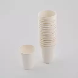 لیوان گیاهی کاغذی