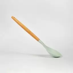 قاشق مدل شنگیا رنگ سبز دسته چوبی