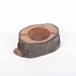 زیر سیگاری درختی