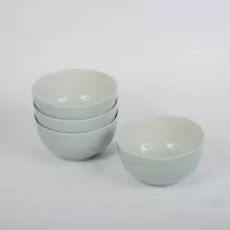 کاسه ابگوشت خوری مدل فرانسوی