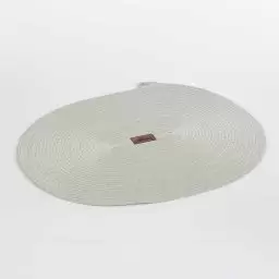 زیر بشقابی رنگ خاکستری بیضی