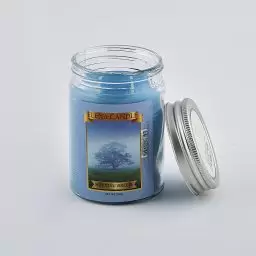 شمع ۲۰۰ گرمی ۱۵ رایحه