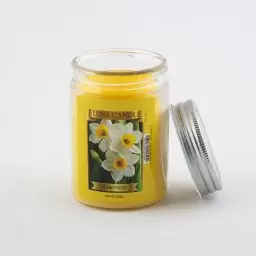 شمع ۲۰۰ گرمی ۱۵ رایحه