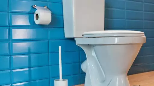 بهترین خوشبو کننده سرویس بهشتی برای رفع بو