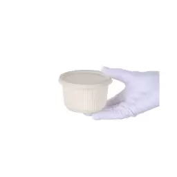 پیکنیک - کاسه و درب گیاهی بسته 6 عددی