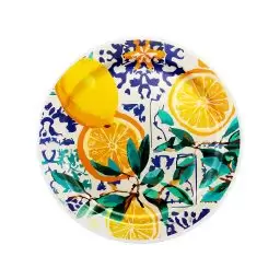 بشقاب الماس نارنجستان - پیکنیک پرایم