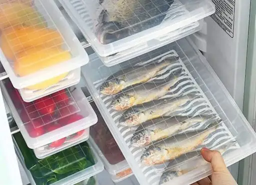 بهترین مارک ظروف فریزری برای نظم دهی فریزر